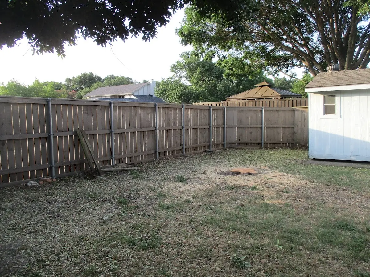 Cleared yard after professional tree removal in Preston