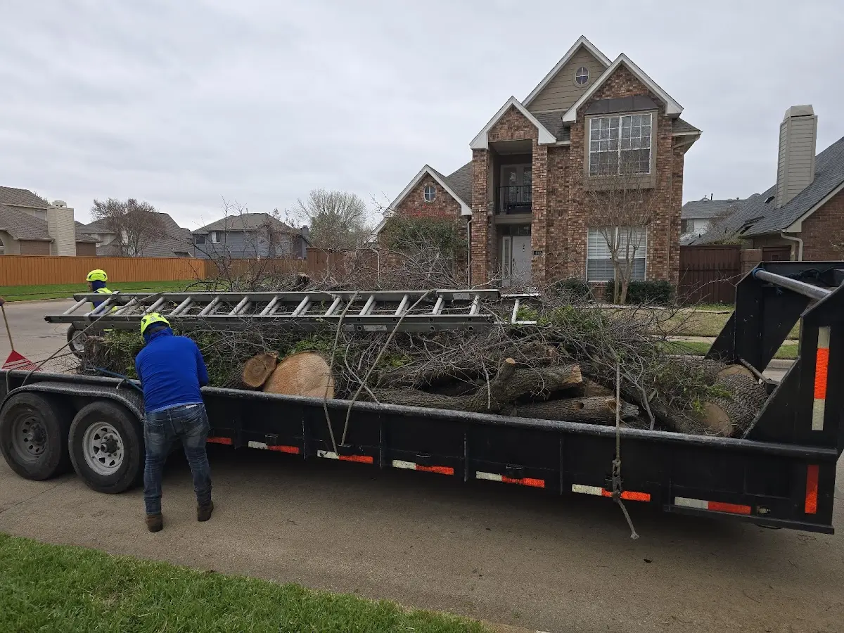 Expert Lot Clearing with proper safety equipment in Preston